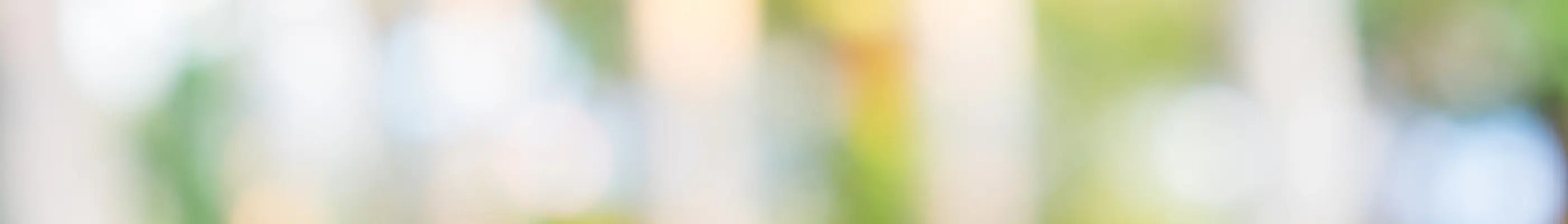 Hero Banner für die Zwergenstark Kollektion von Bennus Media